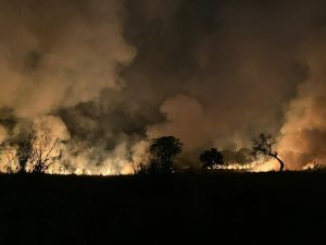 Defesa Civil de São Paulo alerta para o risco de queimadas na região do Vale do Paraíba
