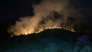Defesa Civil faz vistoria em área de 100 mil m² atingida por incêndio em Taubaté