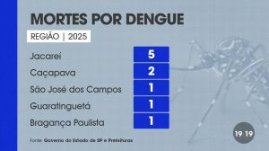 Idoso de 65 anos é o segundo a morrer por dengue em 2025, em Guaratinguetá