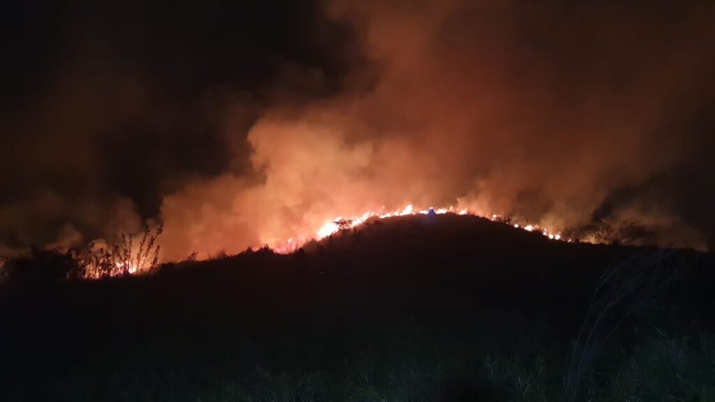 Incêndio de grandes proporções atinge área de mata em Taubaté, SP