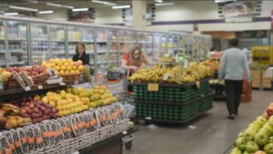 Nupes: Cesta básica tem leve queda de preço em agosto no Vale do Paraíba; veja a variação de custo dos alimentos